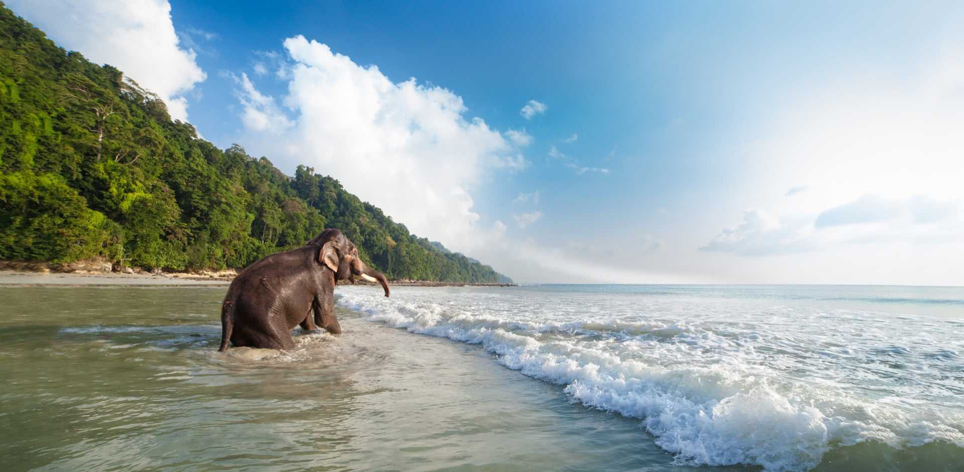 Andaman Islands turquoise water and pristine tropical beaches