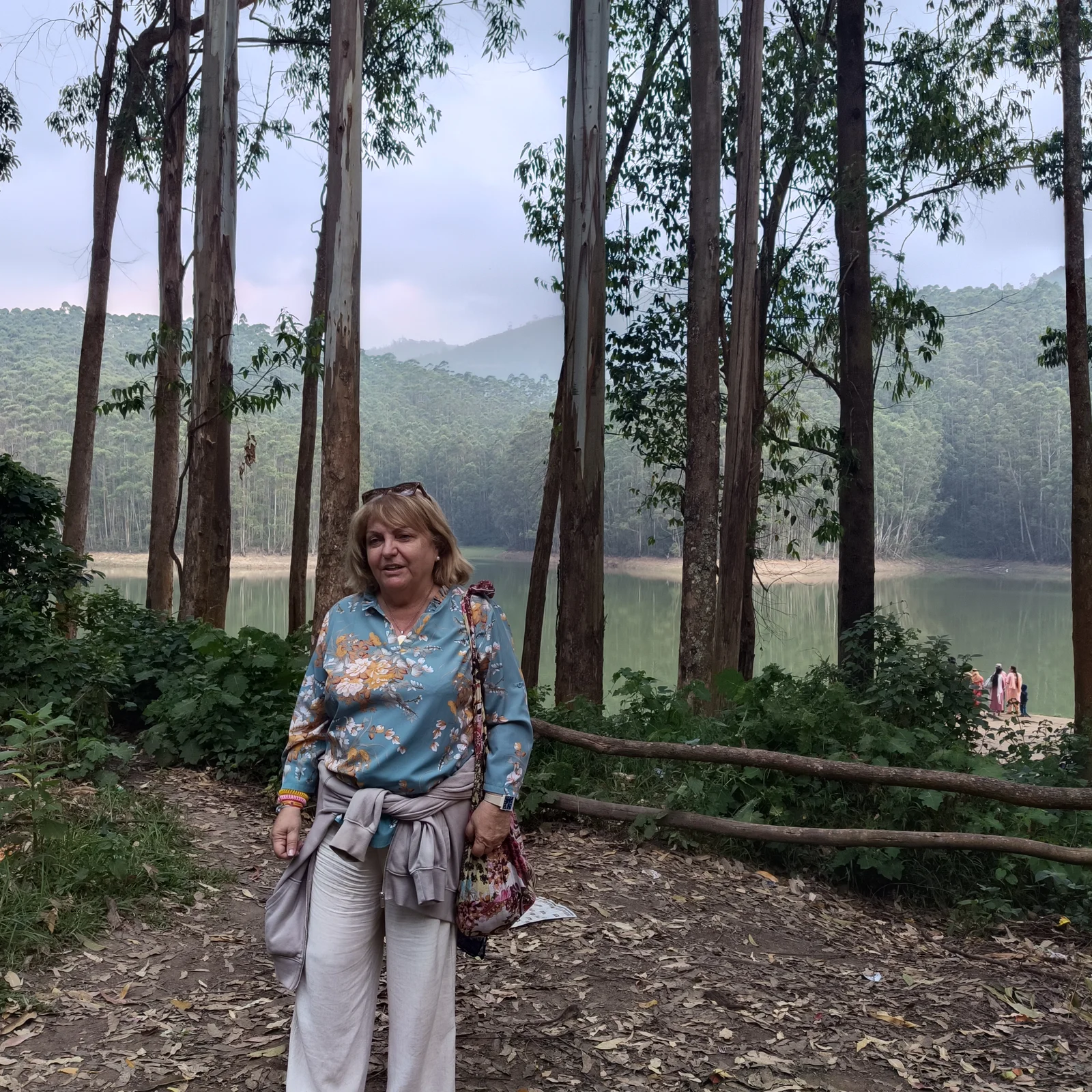 Traveller by the lake and eucalyptus forest in Munnar