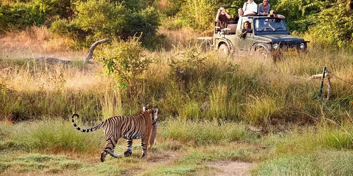Wild leopard and wildlife in natural habitat