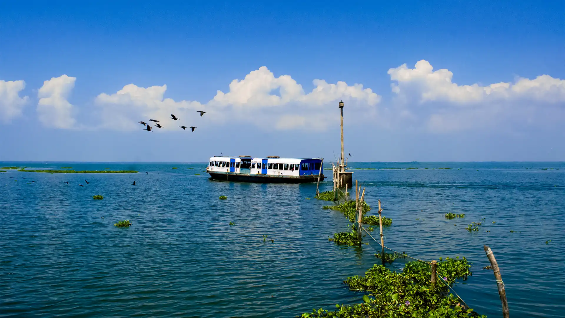 Kumarakom Vembanad Lake Bird Sanctuary