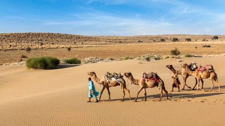 Jaisalmer Thar Desert Sand Dunes